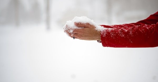 Ilustračný obrázok k článku: Složené úročení