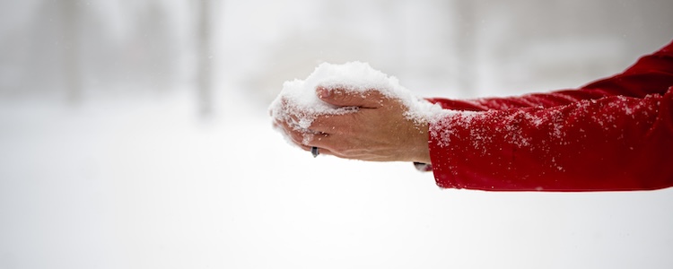 Ilustračný obrázok k článku: Složené úročení